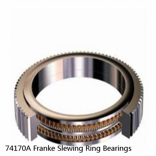 74170A Franke Slewing Ring Bearings