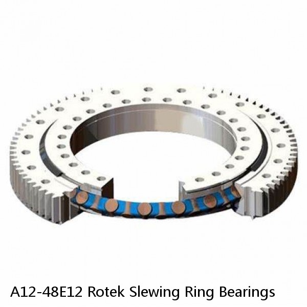 A12-48E12 Rotek Slewing Ring Bearings