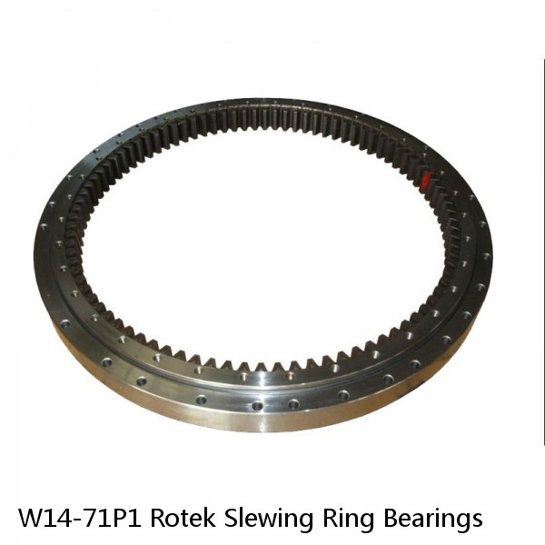 W14-71P1 Rotek Slewing Ring Bearings