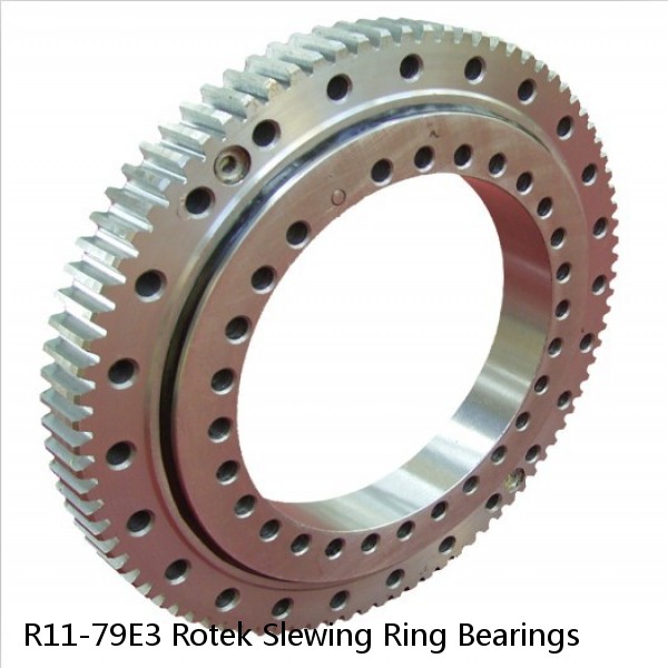 R11-79E3 Rotek Slewing Ring Bearings