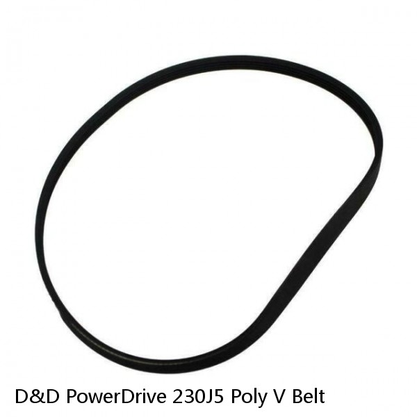 D&D PowerDrive 230J5 Poly V Belt