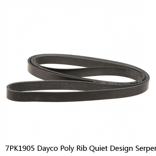 7PK1905 Dayco Poly Rib Quiet Design Serpentine Belt Free Shipping Free Returns