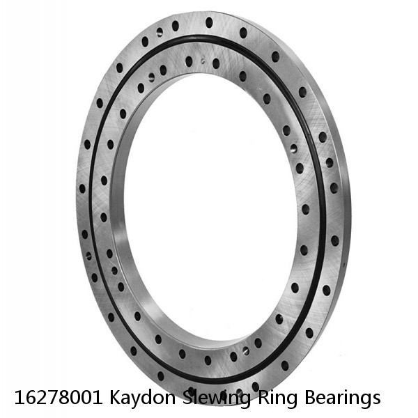 16278001 Kaydon Slewing Ring Bearings #1 small image