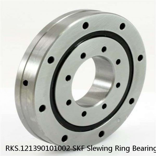 RKS.121390101002 SKF Slewing Ring Bearings