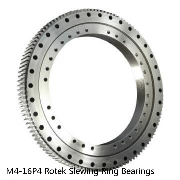 M4-16P4 Rotek Slewing Ring Bearings #1 small image