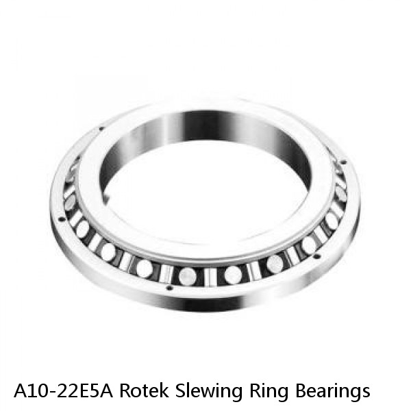 A10-22E5A Rotek Slewing Ring Bearings