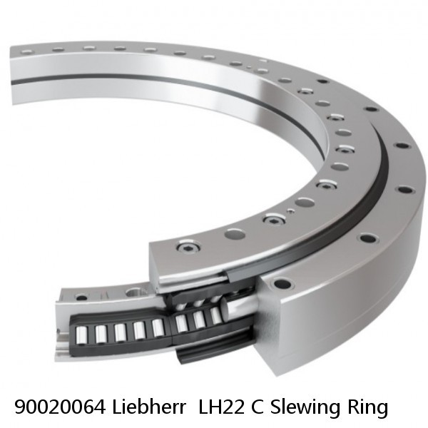 90020064 Liebherr  LH22 C Slewing Ring #1 small image