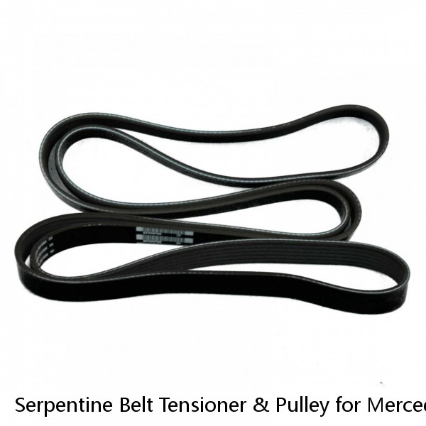 Serpentine Belt Tensioner & Pulley for Mercedes Benz ML S R Class Sprinter #1 small image
