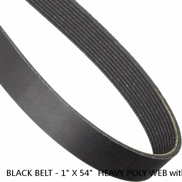 BLACK BELT - 1" X 54"  HEAVY POLY WEB with SIDE RELEASE BUCKLE #1 small image