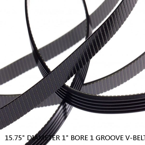 15.75" DIAMETER 1" BORE 1 GROOVE V-BELT PULLEY 1-BK160-E #1 small image