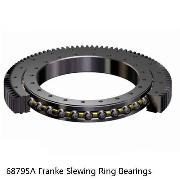 68795A Franke Slewing Ring Bearings #1 image
