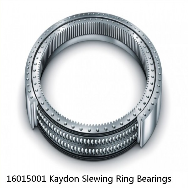 16015001 Kaydon Slewing Ring Bearings #1 image