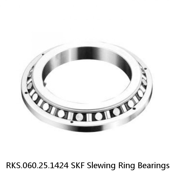 RKS.060.25.1424 SKF Slewing Ring Bearings #1 image