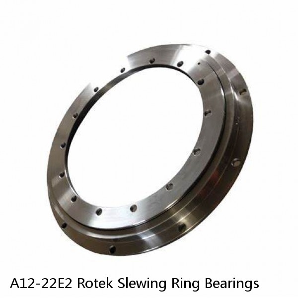 A12-22E2 Rotek Slewing Ring Bearings #1 image