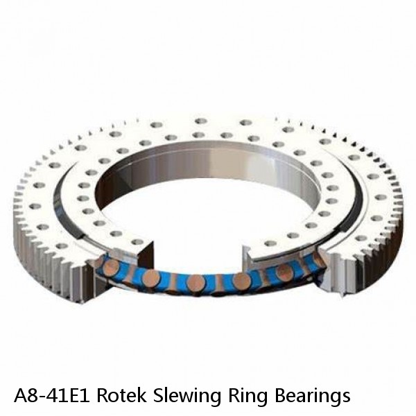 A8-41E1 Rotek Slewing Ring Bearings #1 image