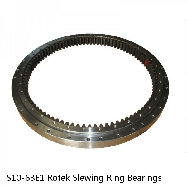 S10-63E1 Rotek Slewing Ring Bearings #1 image