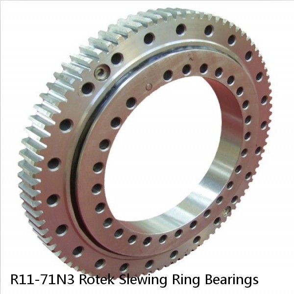 R11-71N3 Rotek Slewing Ring Bearings #1 image
