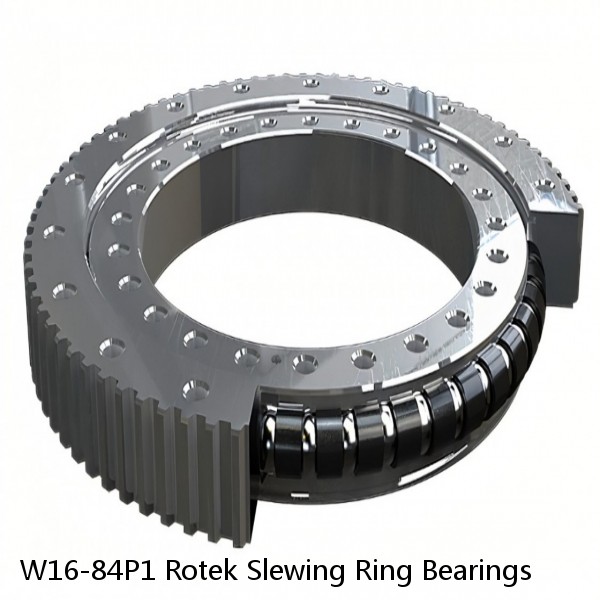 W16-84P1 Rotek Slewing Ring Bearings #1 image