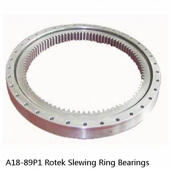 A18-89P1 Rotek Slewing Ring Bearings #1 image