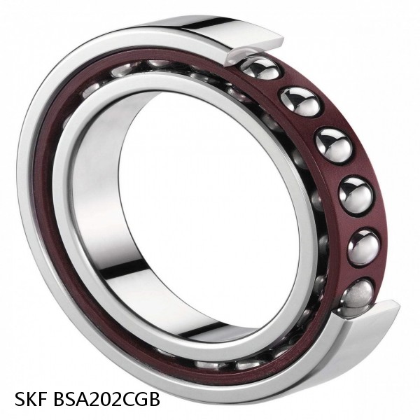 BSA202CGB SKF Brands,All Brands,SKF,Super Precision Angular Contact Thrust,BSA #1 image