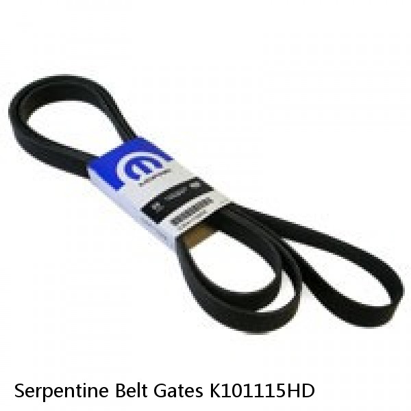 Serpentine Belt Gates K101115HD #1 image
