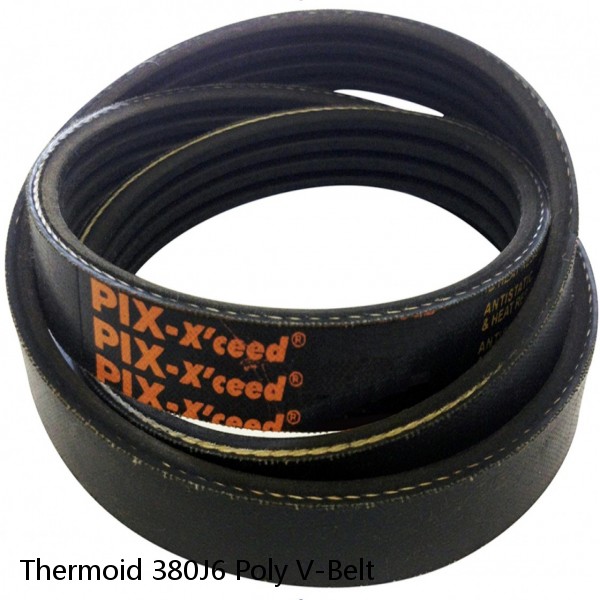 Thermoid 380J6 Poly V-Belt #1 image