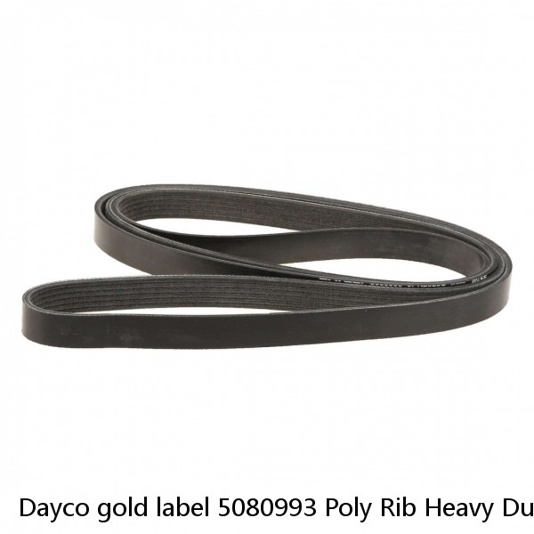 Dayco gold label 5080993 Poly Rib Heavy Duty Belt 8pk2520 ~ FORD F-150 5.4L #1 image